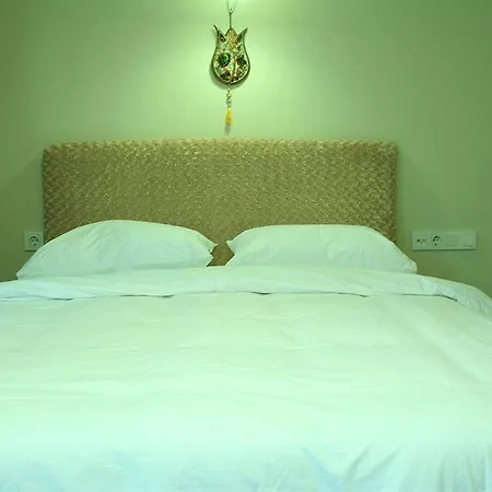 A'la House Lägenhetshotell Istanbul